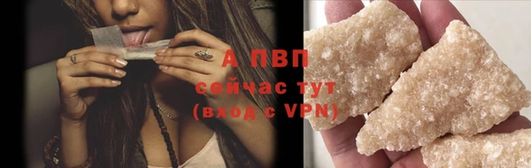 дживик Инта