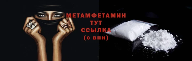 прущие грибы Зеленокумск