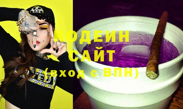 дживик Инта