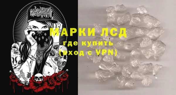 дживик Инта