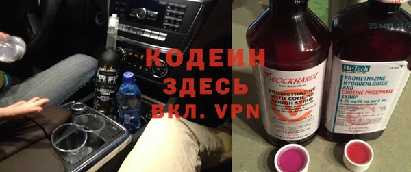 дживик Инта