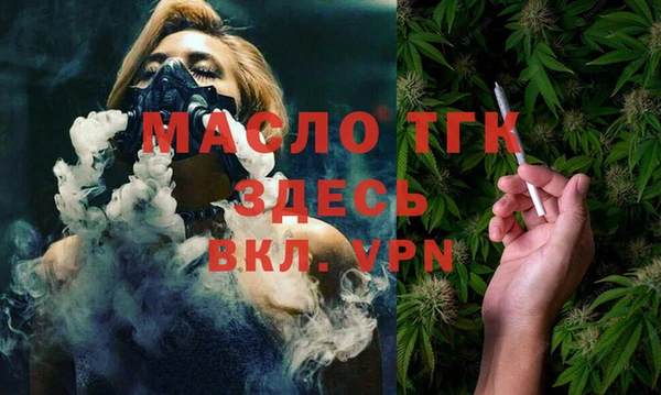 дживик Инта