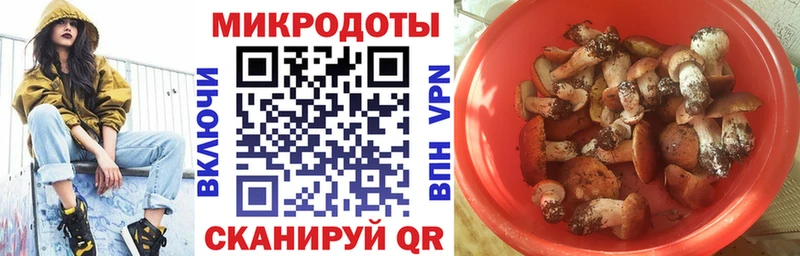 Галлюциногенные грибы Cubensis  Купить  Беломорск 